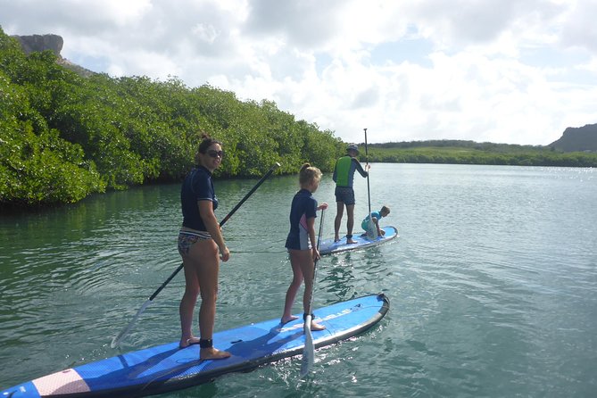 Guided paddleboarding (SUP) mangrove ECO tour for beginners - The guides and group setup: what that feels like for beginners