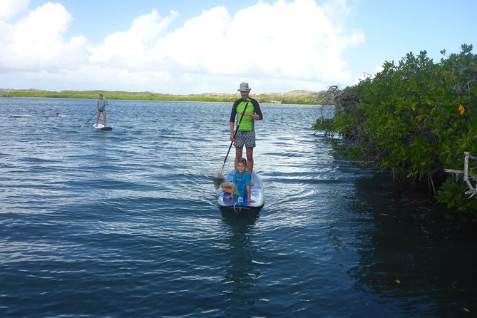 Guided paddleboarding (SUP) mangrove ECO tour for beginners - Price and value: why $65 includes more than you’d expect
