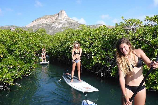 Guided paddleboarding (SUP) mangrove ECO tour for beginners - What to bring (and what to protect) so the day stays fun