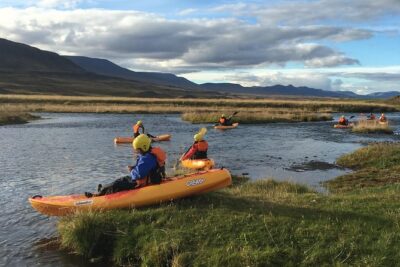 Guided Sit on Top Kayak Tour near Akureyri - The guided route through Skagafjörður: river views, wildlife, and horse-country odds