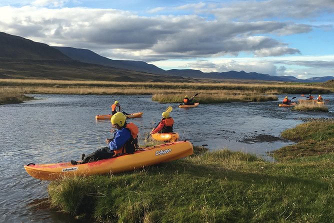 Guided Sit on Top Kayak Tour near Akureyri - The guided route through Skagafjörður: river views, wildlife, and horse-country odds