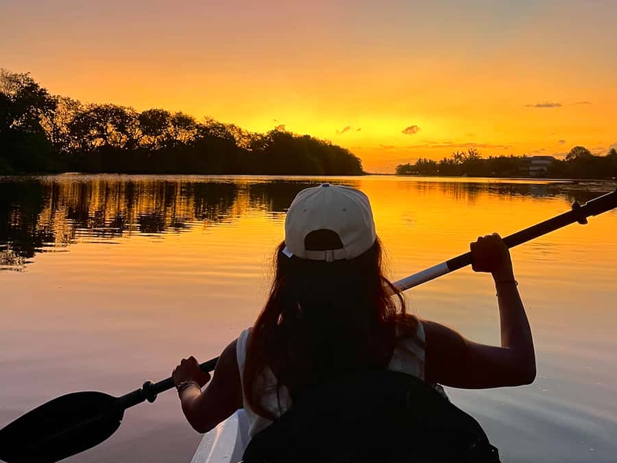 Guided Sundowner Kayak Tour - Paddling Up: Bird Song, Still Water, and River Reflections
