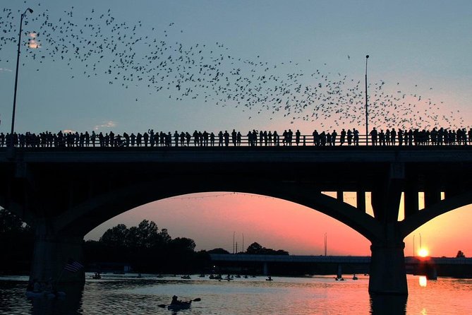 Guided Sunset Bat Kayak Tour in Austin - Key Points at a Glance