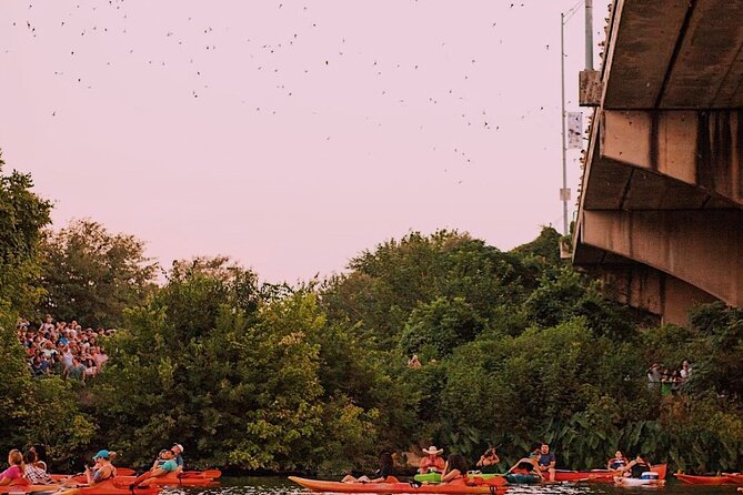 Guided Sunset Bat Kayak Tour in Austin - Guides Who Make the Difference: Ethan, Scott, Quinn, Harry, Henry, Olivia, Sam