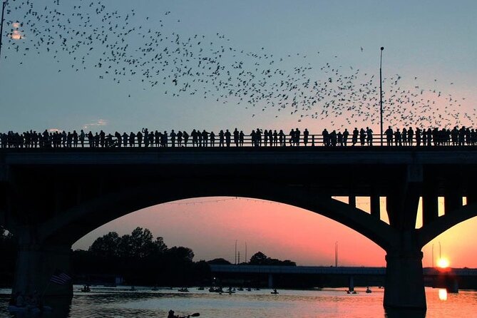 Guided Sunset Bat Kayak Tour in Austin - Value Check: Is $55 Worth It for a Sunset Bat Kayak?