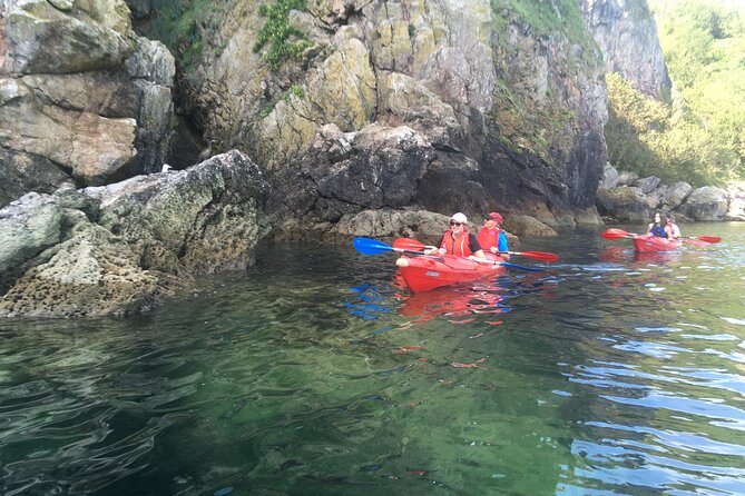 Guided Wildlife and Sea Cave Kayak Safari in English Riviera - Getting wet on purpose: what to wear and pack
