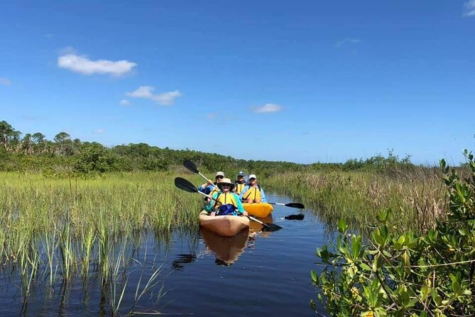 Guided Wildlife Eco Kayak Tour in New Smyrna Beach - Gear is included, but you’ll still feel the paddle
