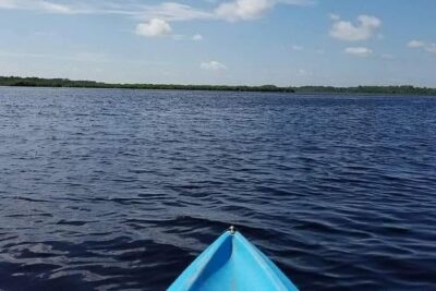 Guided Wildlife Eco Kayak Tour in New Smyrna Beach - The 2-hour rhythm: what your time on the lagoon actually feels like