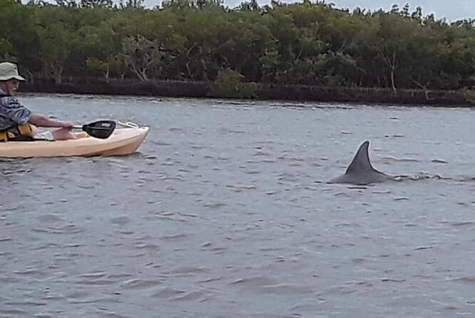 Guided Wildlife Eco Kayak Tour in New Smyrna Beach - Wildlife spotting works best when you follow the guide’s eye