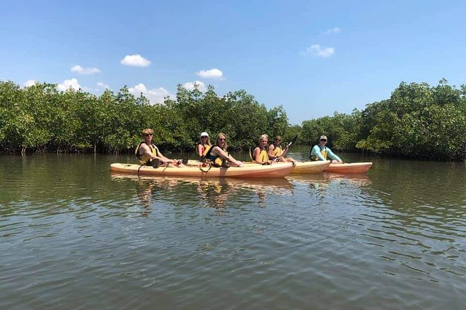 Guided Wildlife Eco Kayak Tour in New Smyrna Beach - Mangroves, tree crabs, and the small details that make it memorable