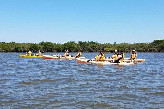 Guided Wildlife Eco Kayak Tour in New Smyrna Beach - When weather and tide change the script (and your expectations)