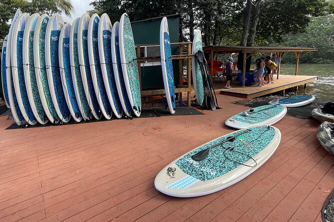 Haleiwa River Paddle Board Rental with Blue Planet Adventure Co. - Who This Paddle Rental Fits Best (and Who Might Want Something Else)