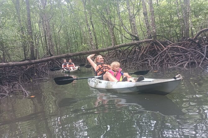 Half-day 4 Hours Kilim Mangrove Kayaking (Without hotel pickups) - Key Highlights You’ll Actually Feel
