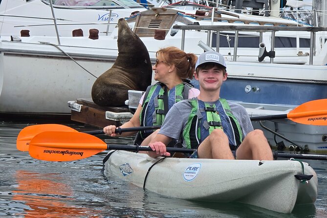 Half Day Dana Point Kayak and Hike - Key highlights to know before you go
