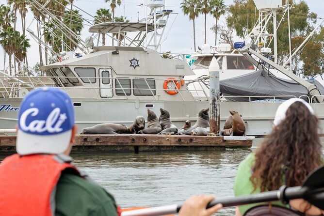 Half Day Dana Point Kayak and Hike - Should You Book This Dana Point Kayak and Hike?