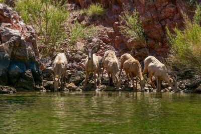 Half-Day Emerald Cave Kayak Tour: Triple Cave Adventure - Gear, Safety, and Sit-On-Top Kayak Confidence