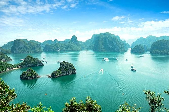 Half Day Explore Halong Bay With Lunch, Sung Sot Cave, Titop Island and Kayaking - Key highlights to know before you go