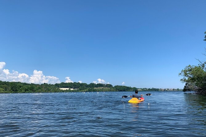 Half-Day Fun Pass: Kayak, Bike and SUP Rental in Traverse City - What You’ll See: Wildlife, Shoreline Views, and Those Little Pauses