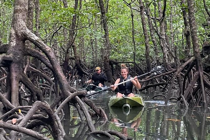Half-Day Geopark Mangrove Kayaking Adventure - Key Highlights You’ll Care About