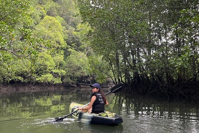 Half-Day Geopark Mangrove Kayaking Adventure - Kayaking through narrow mangrove channels: your main adventure window