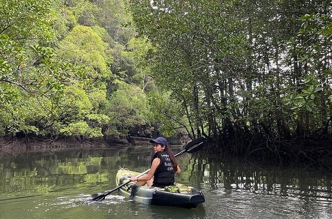 Half-Day Geopark Mangrove Kayaking Adventure - Nature talks with Qin: turning scenery into real knowledge