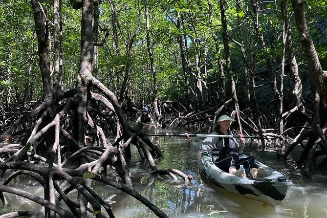 Half-Day Geopark Mangrove Kayaking Adventure - Limestone and eagles: why these stops matter on the water