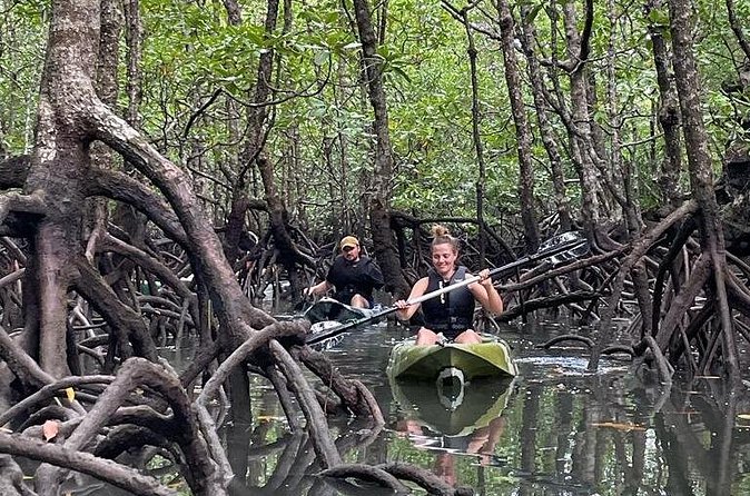 Half-Day Geopark Mangrove Kayaking Adventure - Second mangrove stretch: a bit more effort, more payoff