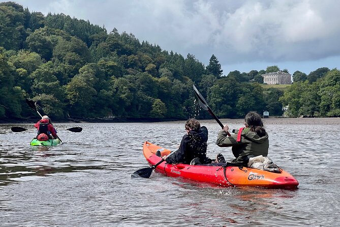 Half Day Guided Canoe Trip in Totnes - Small Group Energy: Why a Max of 12 Changes Everything