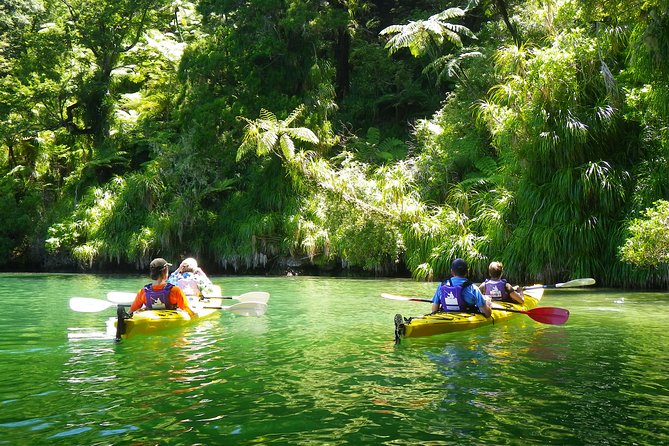 Half-Day Guided Sea Kayak Trip from Picton - Why a half-day kayak beats a full-day scramble in the Sounds