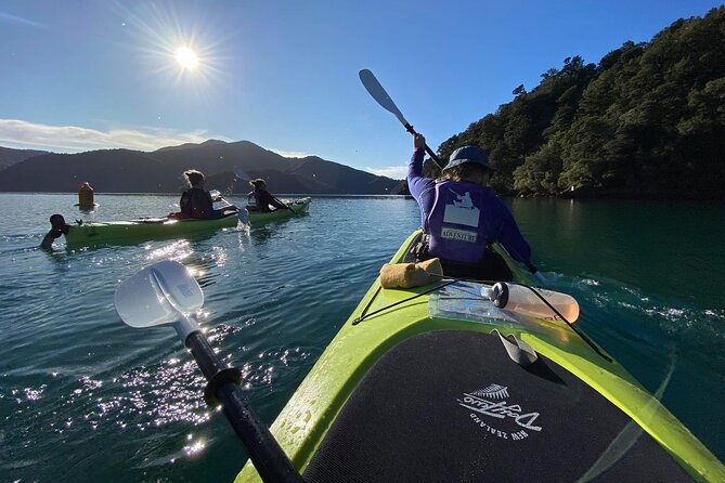 Half-Day Guided Sea Kayak Trip from Picton - Ngakuta Bay and the return by van to Picton