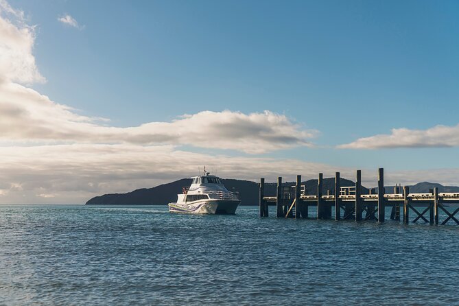 Half-Day Guided Sea Kayak Trip from Picton - Māori mythology, wildlife stories, and why they matter here