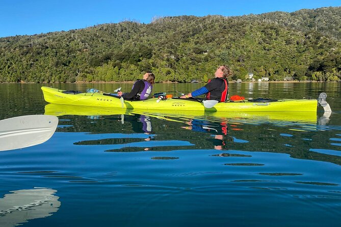Half-Day Guided Sea Kayak Trip from Picton - Price and value: what $74.47 gets you in real travel terms