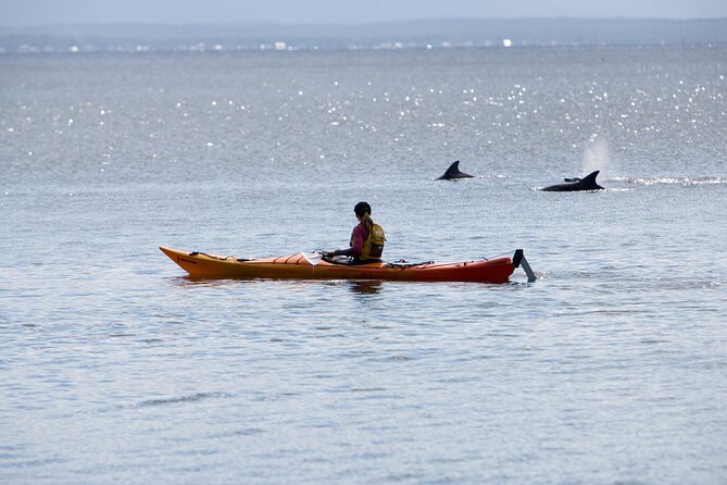 Half-Day Jervis Bay Sea Kayak Tour - Sea Kayaking in Jervis Bay: Why This Feels More Real