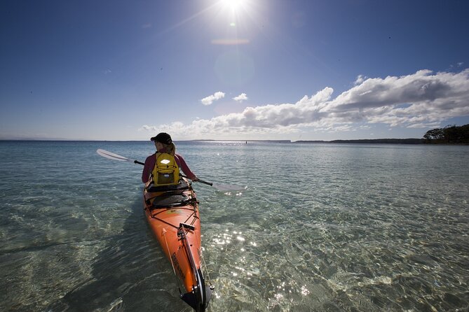 Half-Day Jervis Bay Sea Kayak Tour - Wildlife Chances: Dolphins, Penguins, Stingrays, and Whales (Seasonal)