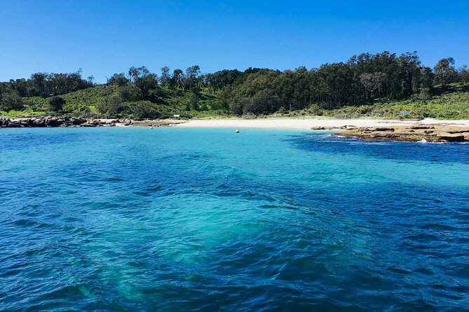 Half-Day Jervis Bay Sea Kayak Tour - Why Dane’s Guidance Changes the Trip