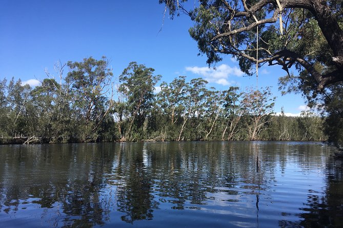 Half-Day Jervis Bay Sea Kayak Tour - What the $104 Price Really Covers (Value, Not Just Cost)
