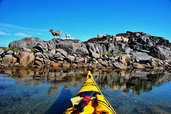 Half Day Kayak - Northern Explores AS - Price and value: why $102.50 can make sense in Lofoten