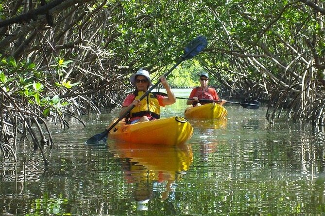 Half Day Kayak or SUP Rental (3hr) - Bunche Beach - Key things to know before you go