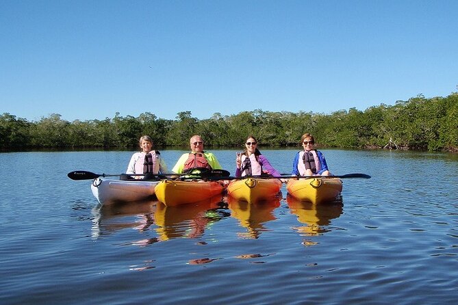 Half Day Kayak or SUP Rental (3hr) - Pelican Bay - Key Things I’d Note Before You Go