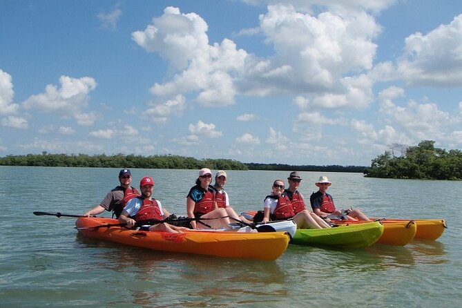 Half Day Kayak or SUP Rental (3hr) - Pelican Bay - Choosing Your Boat: Single, Tandem, Fishing Kayaks, or SUP