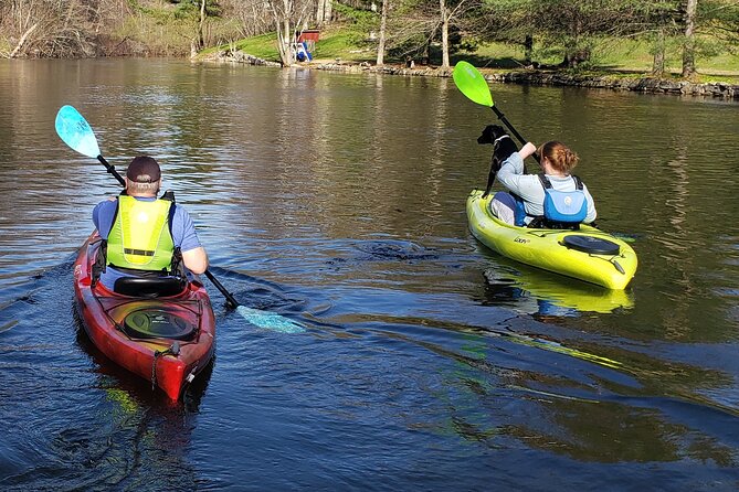 Half Day Kayak Rental on Sebago Lake - Wildlife Moments You Can Actually Plan For