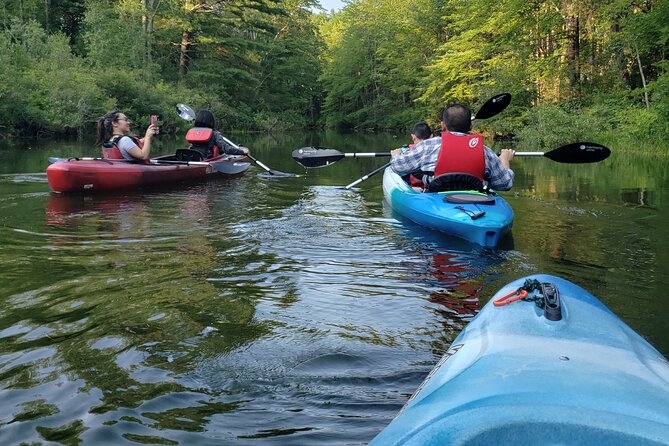 Half Day Kayak Rental on Sebago Lake - On-Water Choices: Cruise, Explore Inlets, or Take a Picnic Break