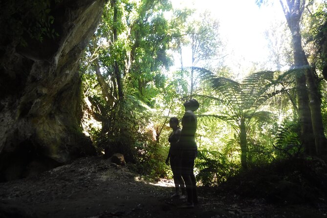 Half-Day Kayak to the Maori Rock Carvings in Lake Taupo - Paddling skill level: beginner-friendly, not beginner-easy