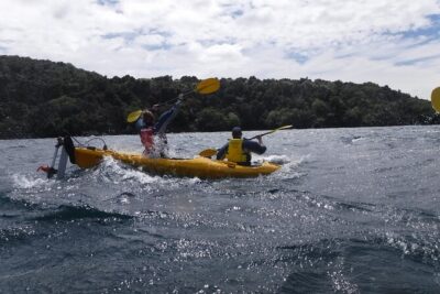 Half-Day Kayak to the Maori Rock Carvings in Lake Taupo - Mine Bay stop: snacks, timing, and the swim or rock jump choice