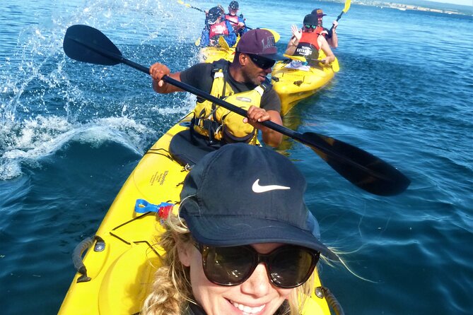 Half-Day Kayak to the Maori Rock Carvings in Lake Taupo - Who should book this half-day kayak to the carvings