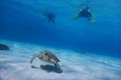 Half-day kayak tour on the Kerama Islands and Zamami Island - The 3-hour flow: morning or afternoon, kayaking first, snorkeling next