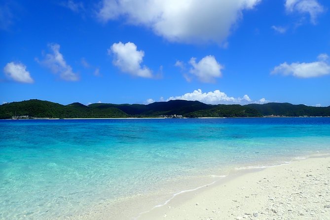 Half-day kayak tour on the Kerama Islands and Zamami Island - What marine life feels like when you’re not rushing past it