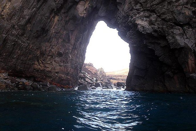 Half day kayak tours - The Cliff Jump-Style Finish: Fun, but Don’t Force It