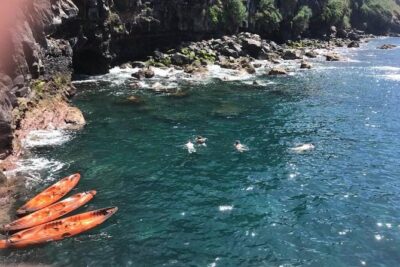 Half day kayak tours - The 40-Minute Paddle: Making the Most of the Nature Reserve