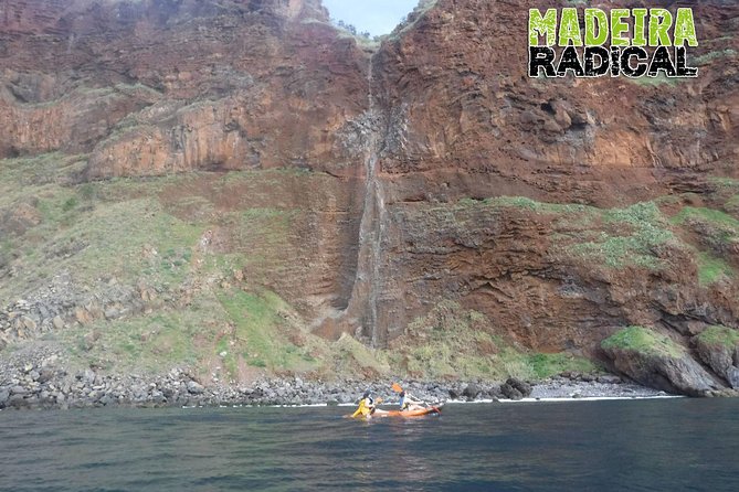 Half day kayak tours - Price and Value: Is $43.25 a Good Deal?